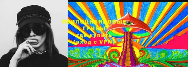 2c-b Алзамай