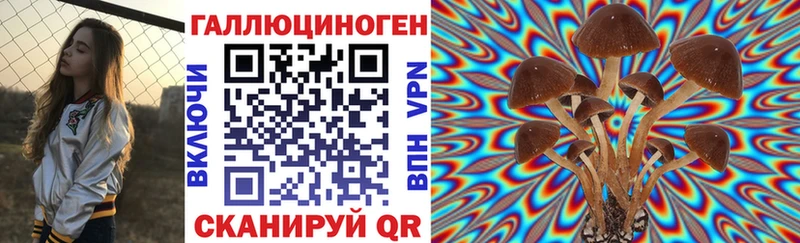 Псилоцибиновые грибы Psilocybine cubensis  мориарти официальный сайт  Апрелевка 