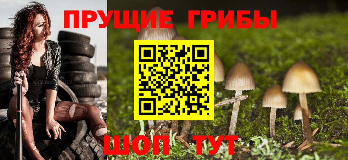 Псилоцибиновые грибы MAGIC MUSHROOMS Апрелевка