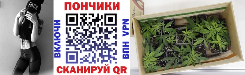 Конопля SATIVA & INDICA  дарк нет наркотические препараты  Апрелевка 